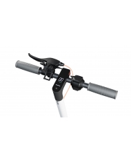Patinete eléctrico Motus Scooty 10 LITE 2022